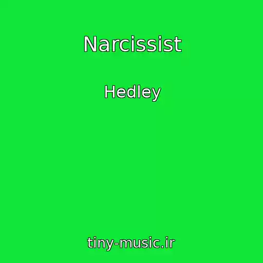 کاور آهنگ Narcissist از Hedley