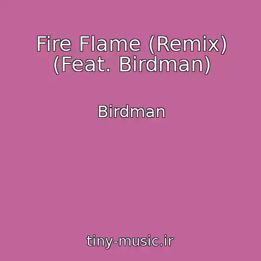 کاور آهنگ Fire Flame (Remix) (Feat. Birdman) از Birdman