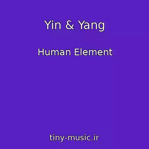 کاور آهنگ Yin & Yang از Human Element