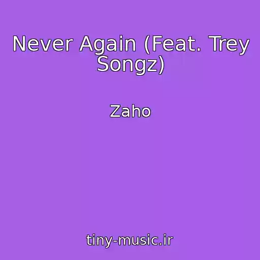 کاور آهنگ Never Again (Feat. Trey Songz) از Zaho