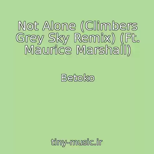 کاور آهنگ Not Alone (Climbers Grey Sky Remix) (Ft. Maurice Marshall) از Betoko