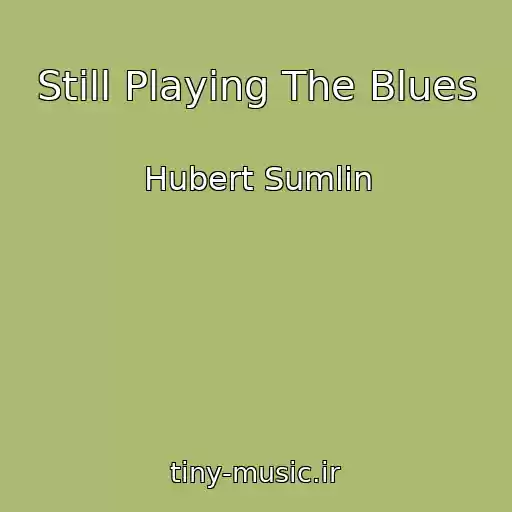 کاور آهنگ Still Playing The Blues از Hubert Sumlin