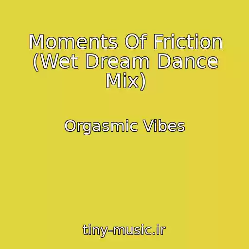 کاور آهنگ Moments Of Friction (Wet Dream Dance Mix) از Orgasmic Vibes