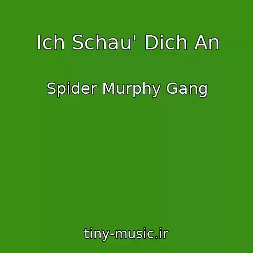 کاور آهنگ Ich Schau' Dich An از Spider Murphy Gang