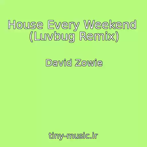 کاور آهنگ House Every Weekend  (Luvbug Remix) از David Zowie