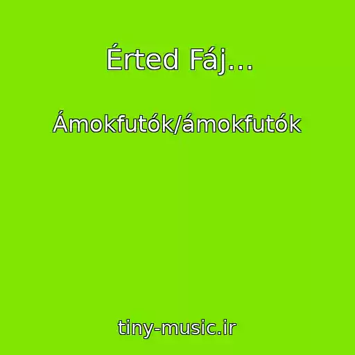 کاور آهنگ Érted Fáj… از Ámokfutók/ámokfutók