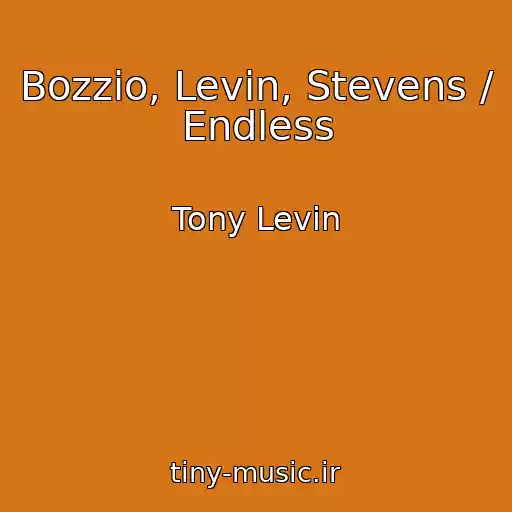 کاور آهنگ Bozzio, Levin, Stevens / Endless از Tony Levin