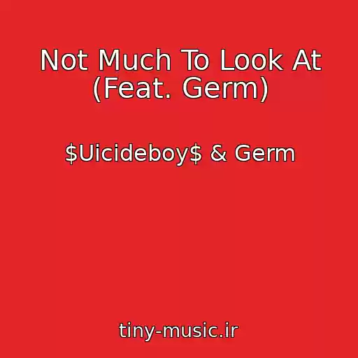 کاور آهنگ Not Much To Look At (Feat. Germ) از $Uicideboy$ & Germ