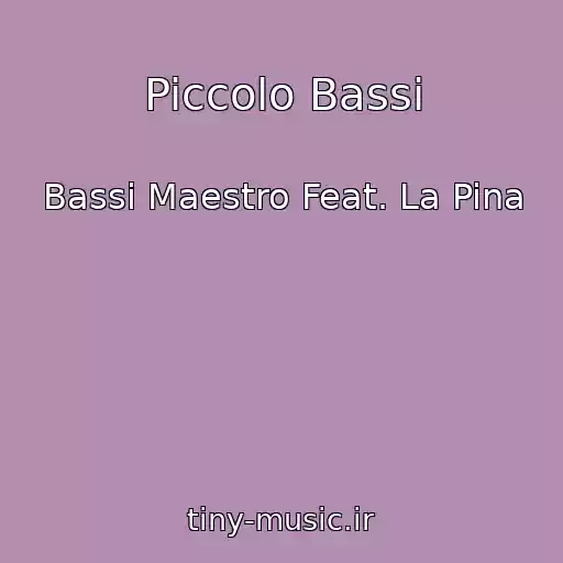 کاور آهنگ Piccolo Bassi از Bassi Maestro Feat. La Pina