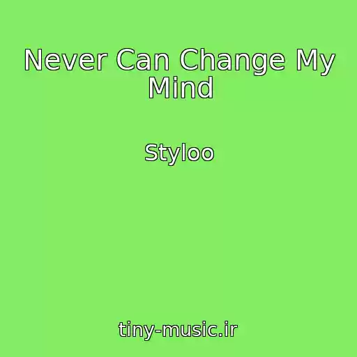 کاور آهنگ Never Can Change My Mind از Styloo