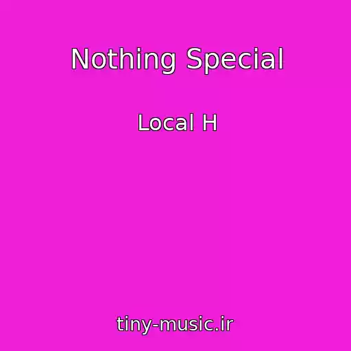 کاور آهنگ Nothing Special از Local H