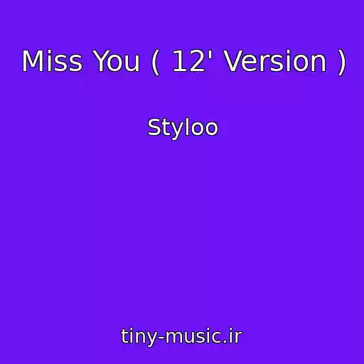 کاور آهنگ Miss You ( 12' Version ) از Styloo