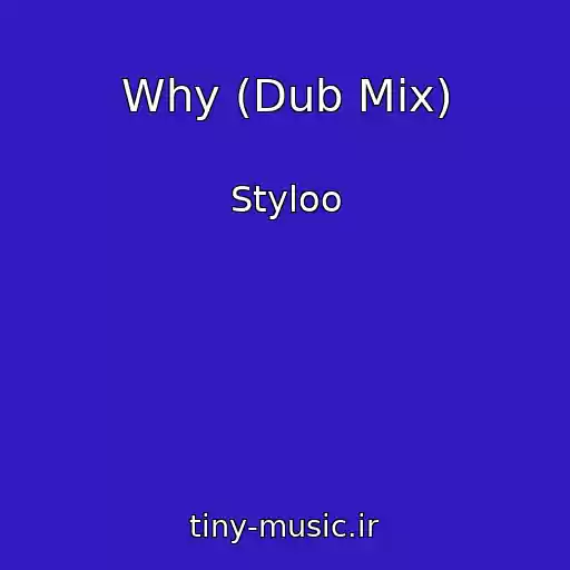 کاور آهنگ Why (Dub Mix) از Styloo