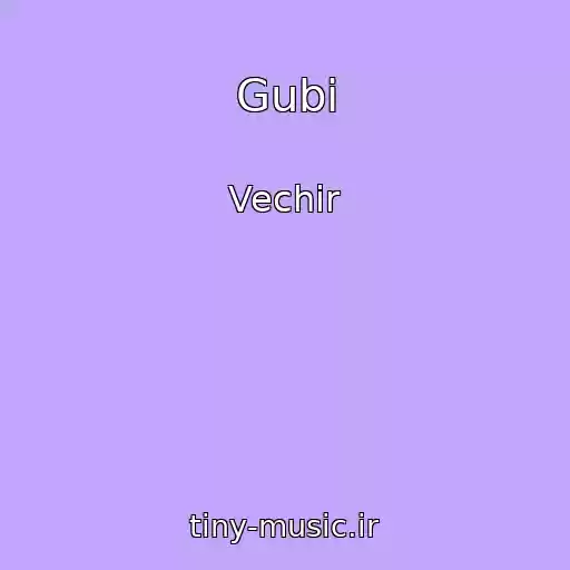 کاور آهنگ Gubi از Vechir
