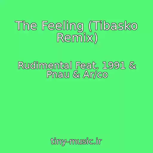 کاور آهنگ The Feeling (Tibasko Remix) از Rudimental Feat. 1991 & Pnau & Ar/co