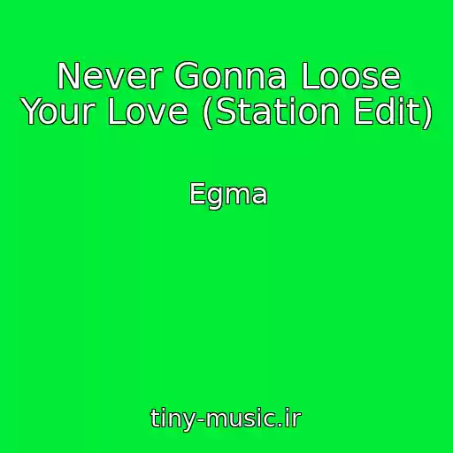 کاور آهنگ Never Gonna Loose Your Love (Station Edit) از Egma