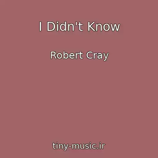 کاور آهنگ I Didn't Know از Robert Cray