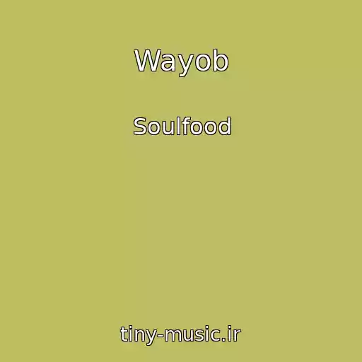 کاور آهنگ Wayob از Soulfood