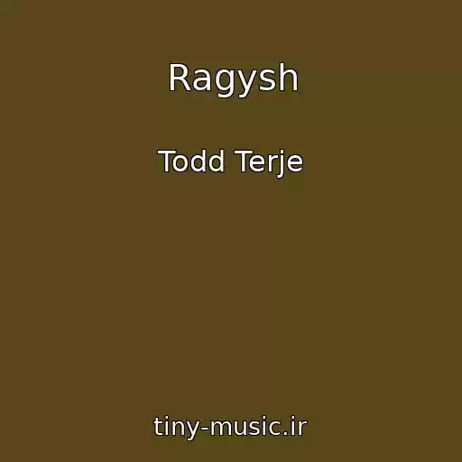 کاور آهنگ Ragysh از Todd Terje