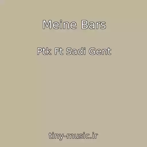 کاور آهنگ Meine Bars از Ptk Ft Sadi Gent