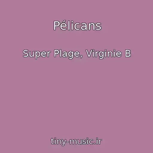 کاور آهنگ Pélicans از Super Plage, Virginie B