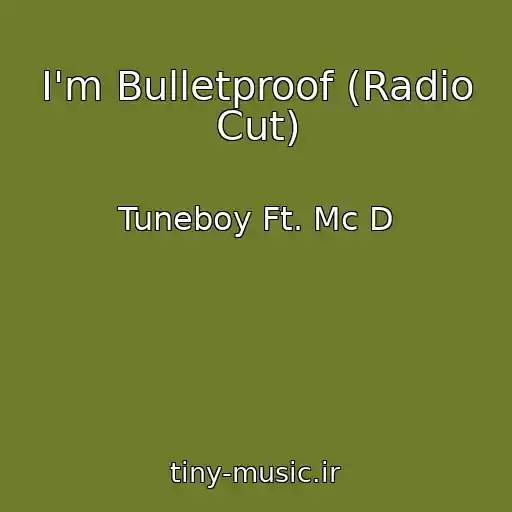 کاور آهنگ I'm Bulletproof (Radio Cut) از Tuneboy Ft. Mc D