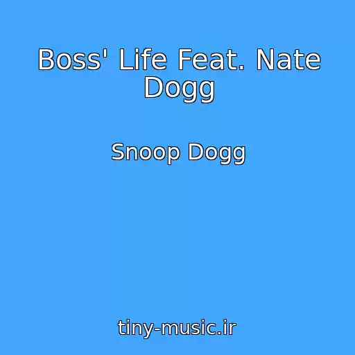 کاور آهنگ Boss' Life Feat. Nate Dogg از Snoop Dogg