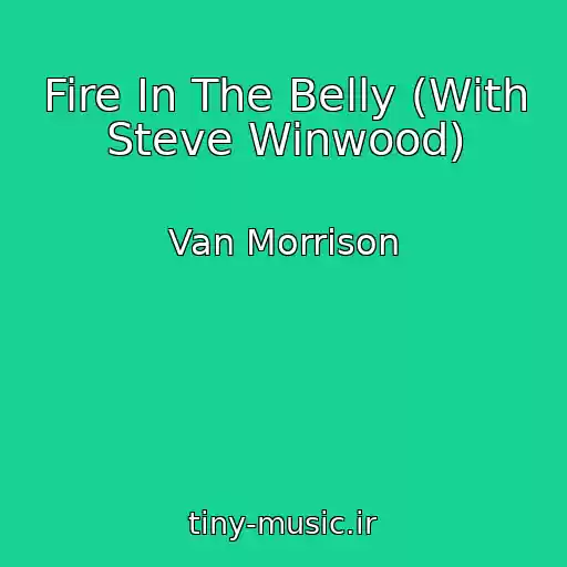 کاور آهنگ Fire In The Belly (With Steve Winwood) از Van Morrison