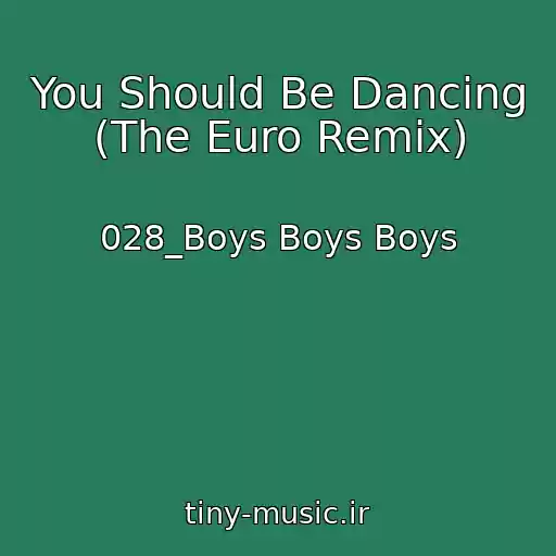 کاور آهنگ You Should Be Dancing (The Euro Remix) از 028_Boys Boys Boys