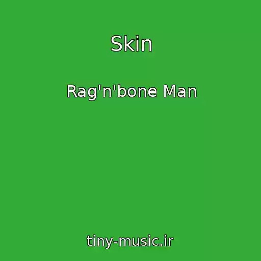 کاور آهنگ Skin از Rag'n'bone Man