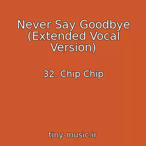 کاور آهنگ Never Say Goodbye (Extended Vocal Version) از 32. Chip Chip