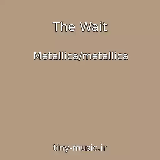 کاور آهنگ The Wait از Metallica/metallica