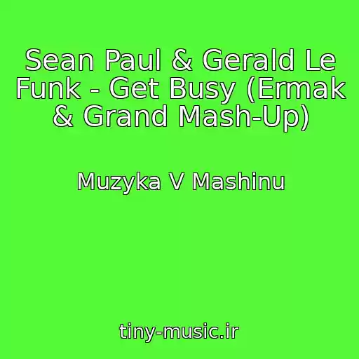 کاور آهنگ Sean Paul & Gerald Le Funk - Get Busy (Ermak & Grand Mash-Up) از Muzyka V Mashinu