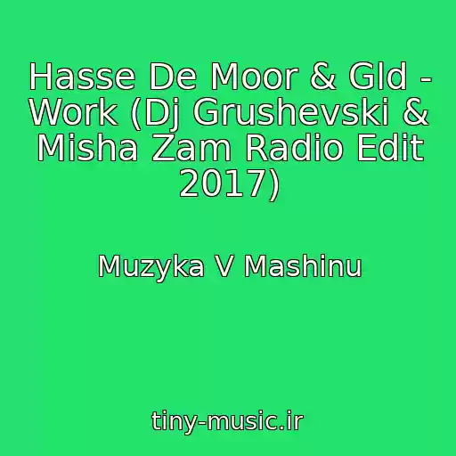 کاور آهنگ Hasse De Moor & Gld - Work (Dj Grushevski & Misha Zam Radio Edit 2017) از Muzyka V Mashinu