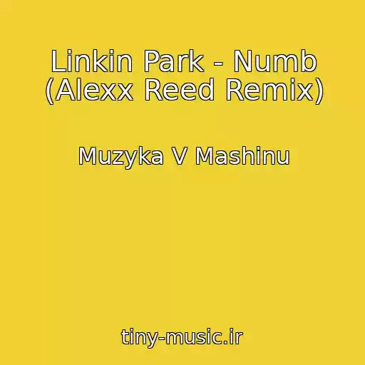 کاور آهنگ Linkin Park - Numb (Alexx Reed Remix) از Muzyka V Mashinu