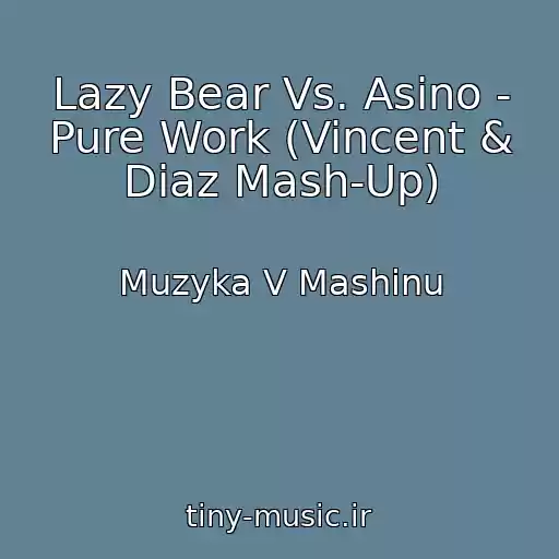 کاور آهنگ Lazy Bear Vs. Asino - Pure Work (Vincent & Diaz Mash-Up) از Muzyka V Mashinu
