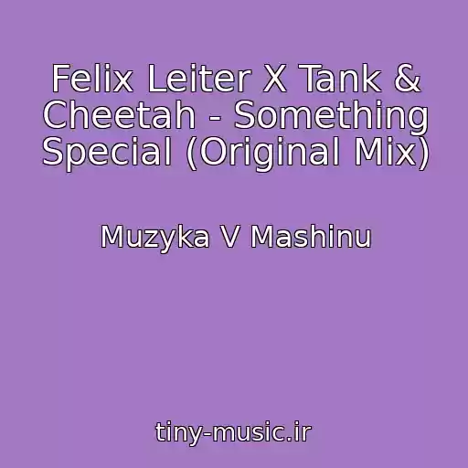 کاور آهنگ Felix Leiter X Tank & Cheetah - Something Special (Original Mix) از Muzyka V Mashinu