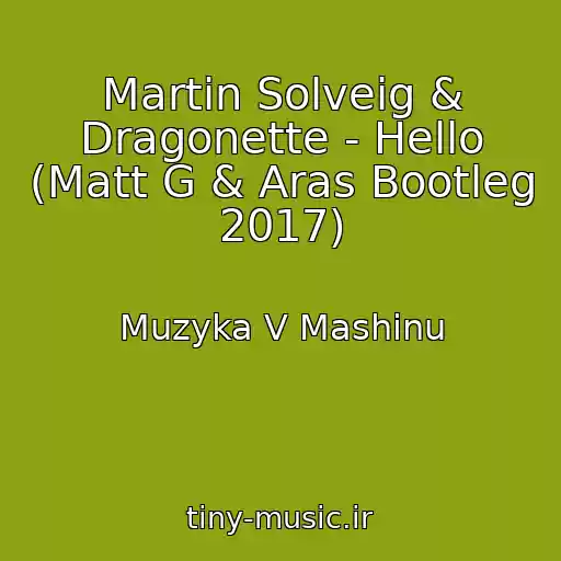 کاور آهنگ Martin Solveig & Dragonette - Hello (Matt G & Aras Bootleg 2017) از Muzyka V Mashinu