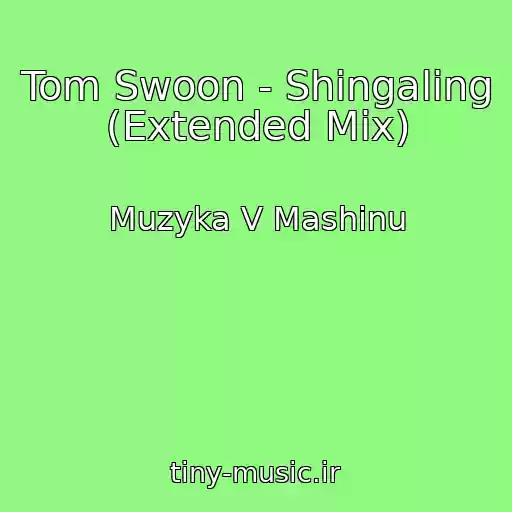 کاور آهنگ Tom Swoon - Shingaling (Extended Mix) از Muzyka V Mashinu