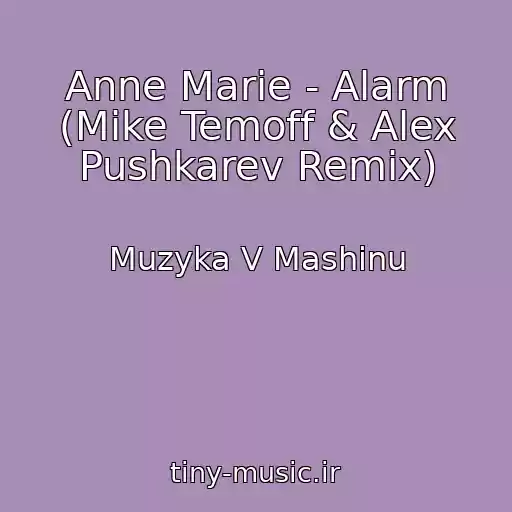 کاور آهنگ Anne Marie - Alarm (Mike Temoff & Alex Pushkarev Remix) از Muzyka V Mashinu
