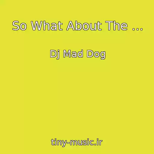 کاور آهنگ So What About The ... از Dj Mad Dog