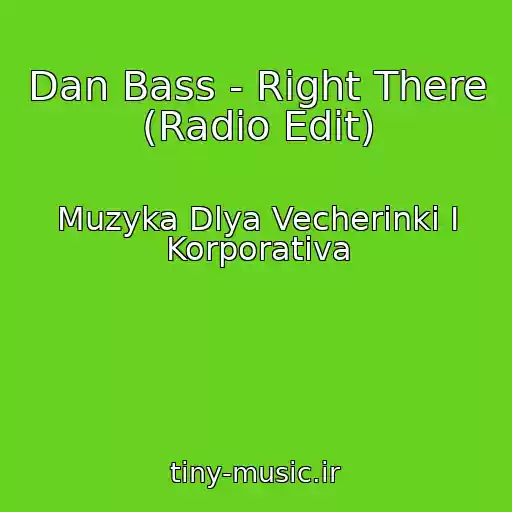 کاور آهنگ Dan Bass - Right There (Radio Edit) از Muzyka Dlya Vecherinki I Korporativa