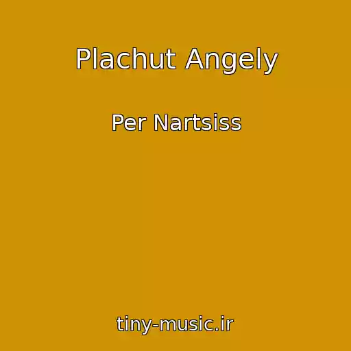 کاور آهنگ Plachut Angely از Per Nartsiss