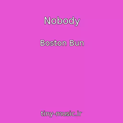 کاور آهنگ Nobody از Boston Bun