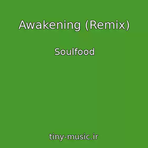 کاور آهنگ Awakening (Remix) از Soulfood