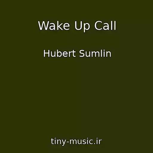 کاور آهنگ Wake Up Call از Hubert Sumlin
