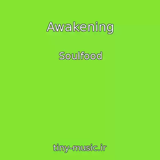 کاور آهنگ Awakening از Soulfood