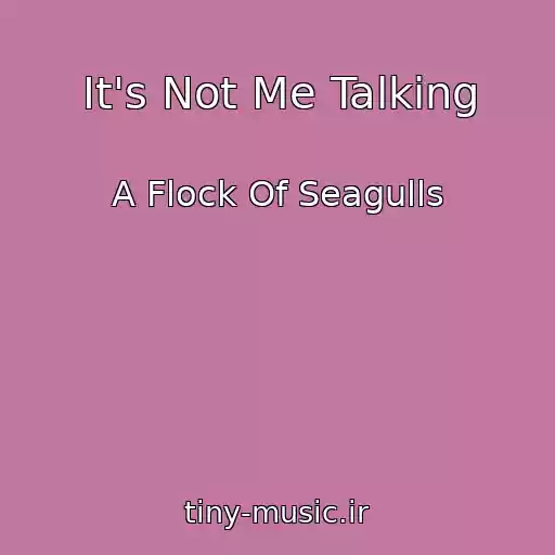 کاور آهنگ It's Not Me Talking از A Flock Of Seagulls