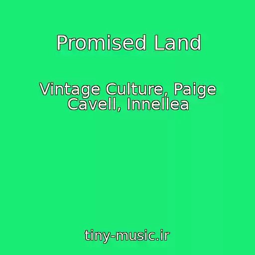 کاور آهنگ Promised Land از Vintage Culture, Paige Cavell, Innellea