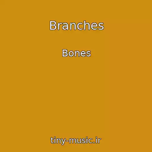 کاور آهنگ Branches از Bones